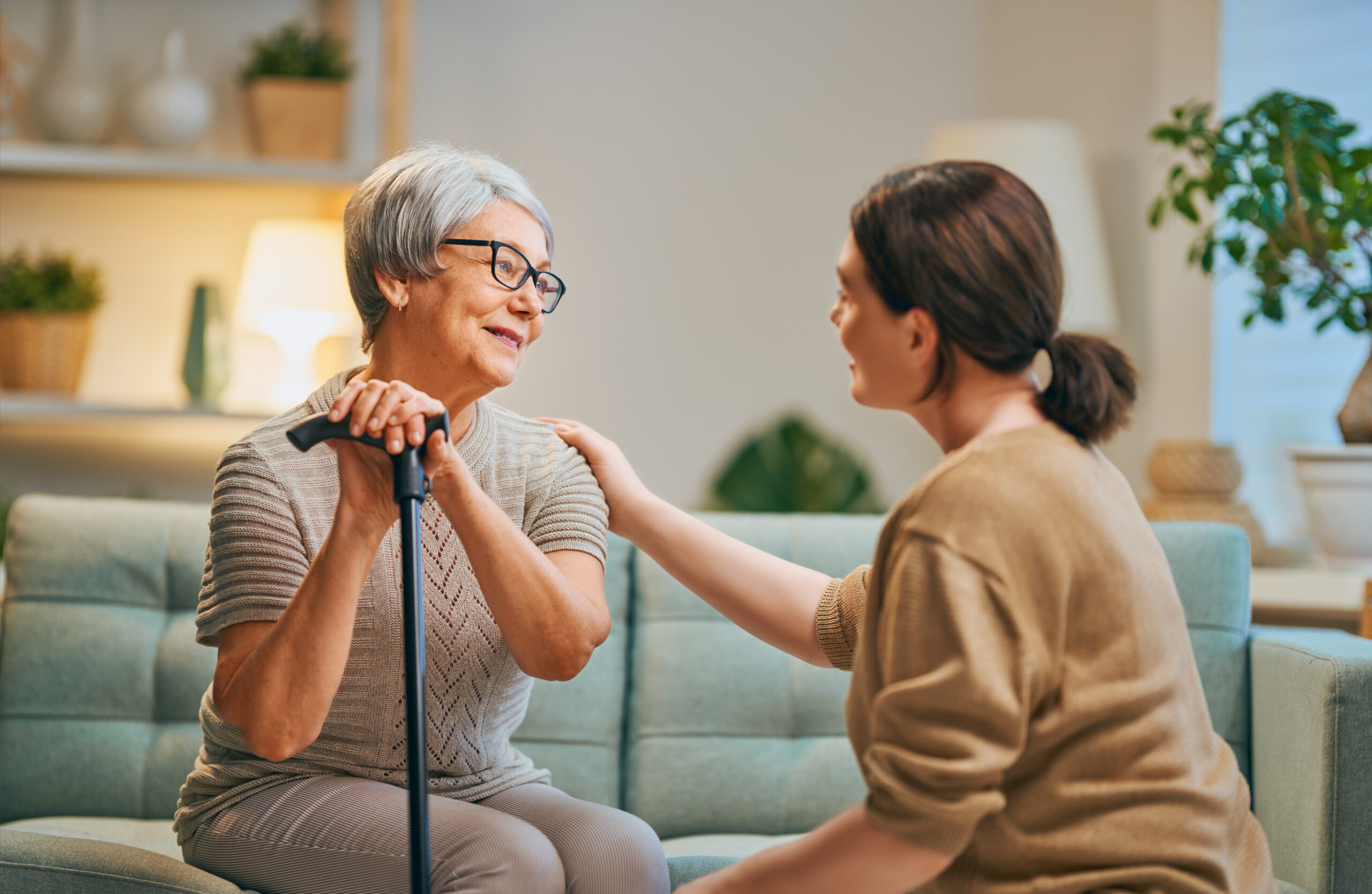 Right at Home Franchise vs Briggs Home Care Franchise