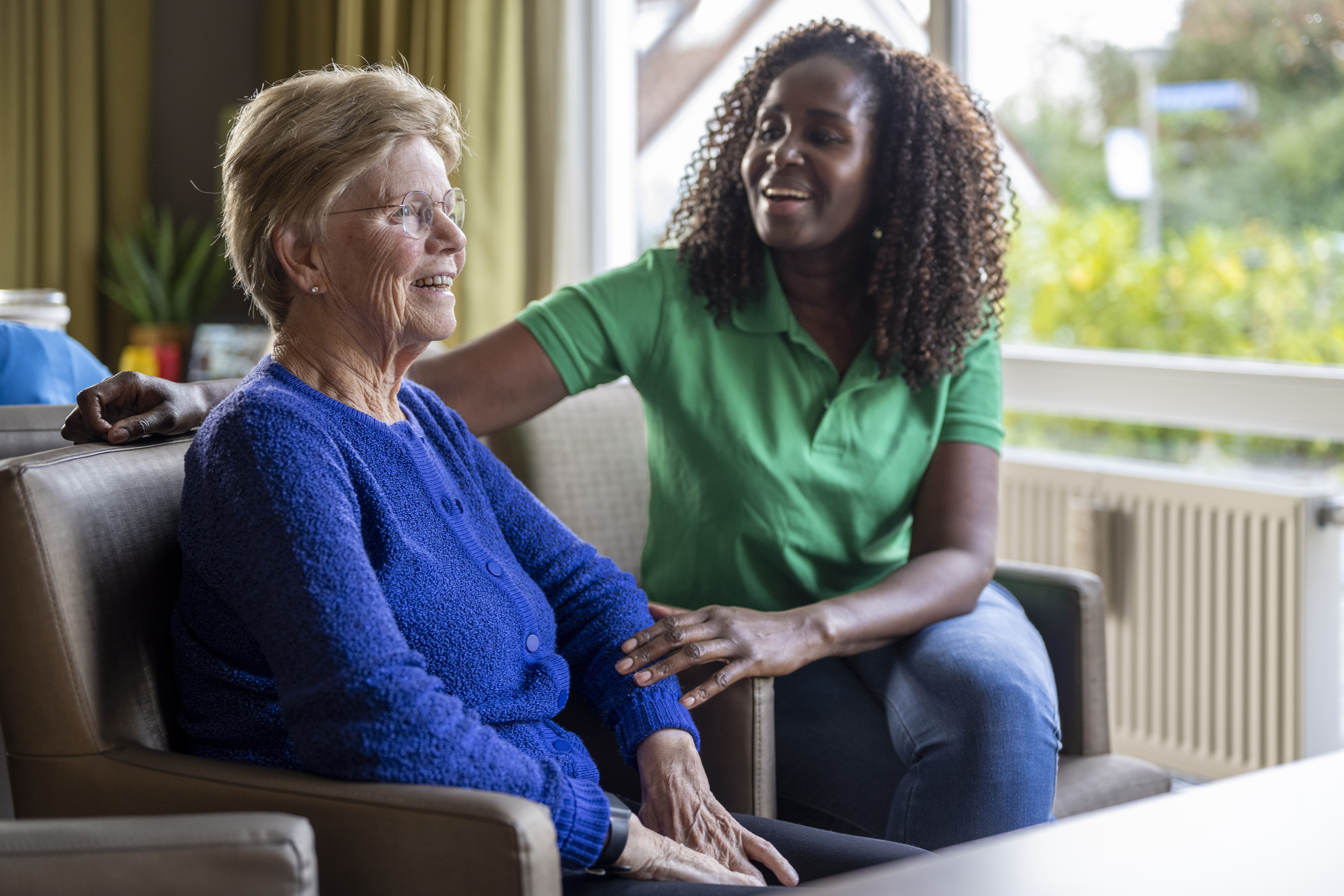 Home Helpers Franchise vs Briggs Home Care Franchise 